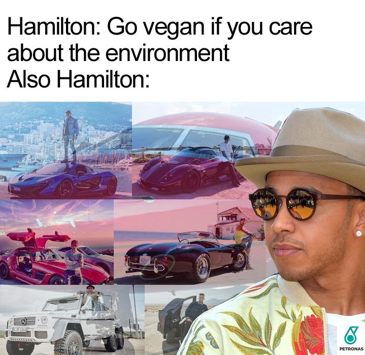 Hamilton et l'environnement