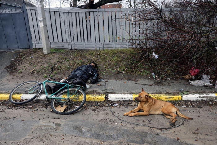 Un chien attend que son maître se réveille à Bucha. Il ne se réveillera jamais.