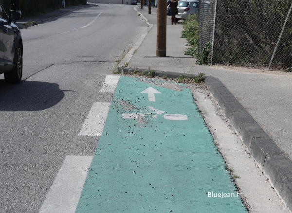 Mandatory pole in cycle path