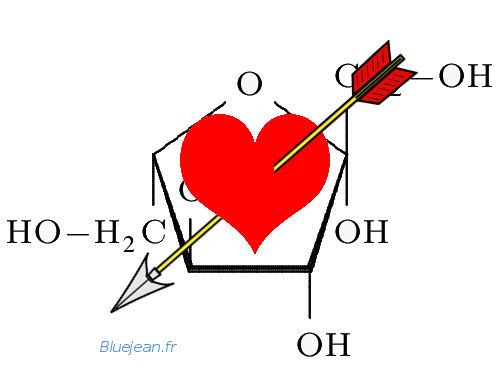 myocardial infarction and fructose