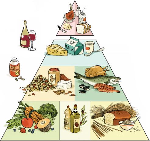 Food pyramid from  Harvard for health