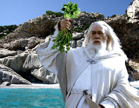 Ikaria, l'île de la vie éternelle