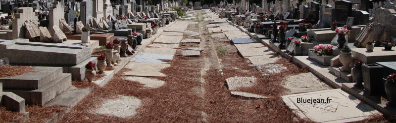 Un cimetière